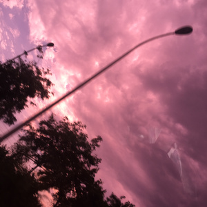 黑料网址成人免费观看
