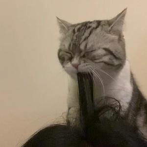 黑料网址成人免费观看
